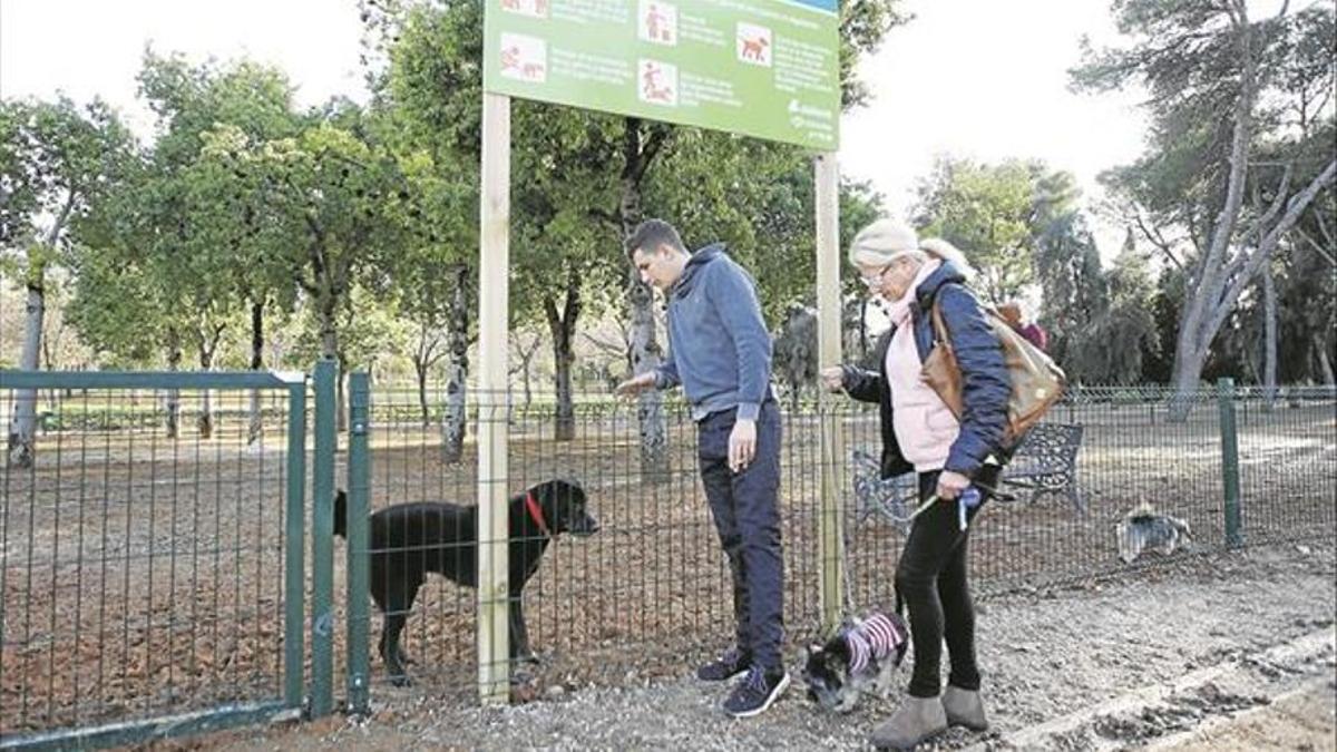Los parques caninos son el lugar ideal para el encuentro entre mascotas.