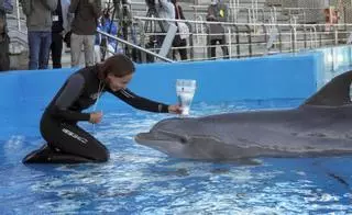 "La visita al Oceanogràfic es fundamental para educar y concienciar"