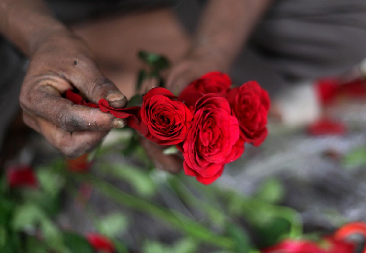 El mundo se prepara para celebrar San Valentín