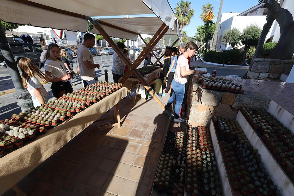 Fiestas de San Isidro en Sant Josep