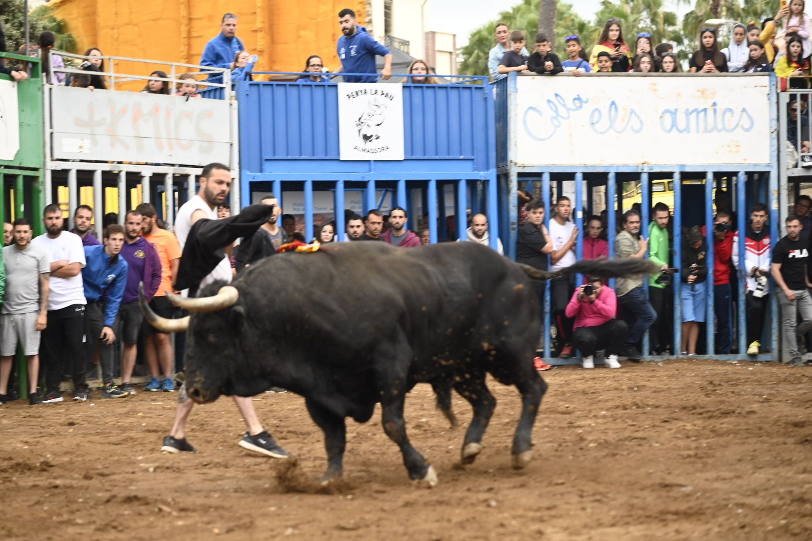 Galería | Las imágenes de la penúltima tarde de toros de las fiestas de Almassora