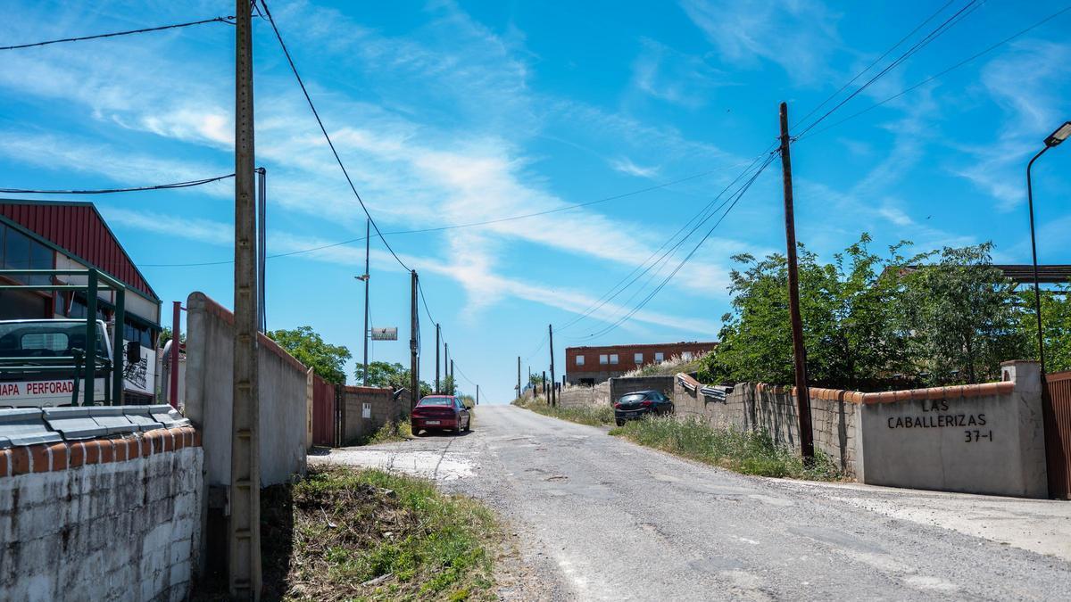 Aspecto de uno de los viarios interiores del Polígono Ganadero de Cáceres.