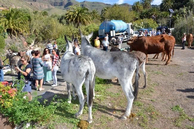 FIESTA DE SANTA LUCIA