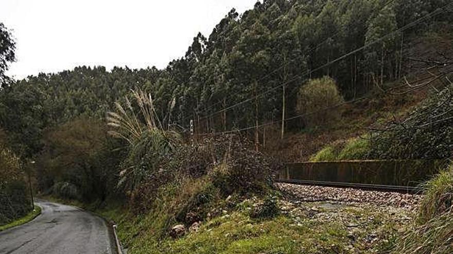 Un tramo de la carretera de Salinas a Coto Carcedo.