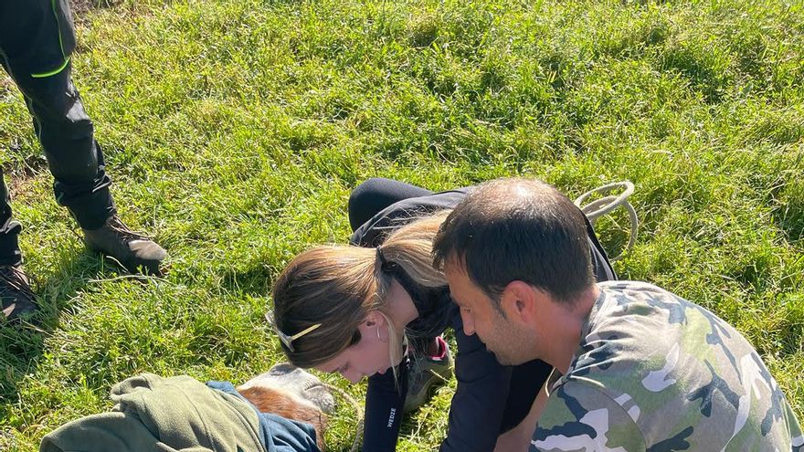 De Roma a la dehesa extremeña: el Erasmus rural que rompe los cánones