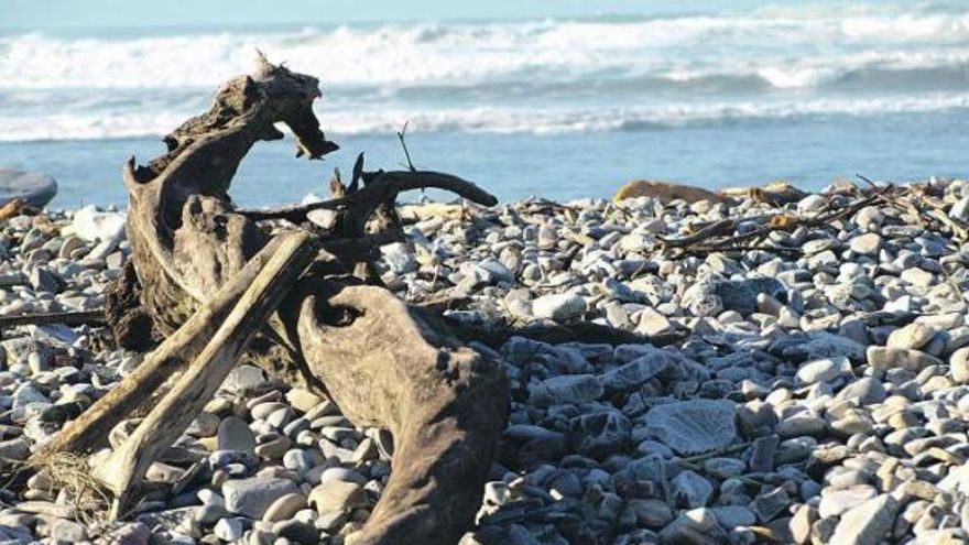 Para unos, maderos arrastrados por la mar. Para otros, un dragón con cabeza de caballito de mar, descansando en la playa de Cueva.  / ana paz paredes