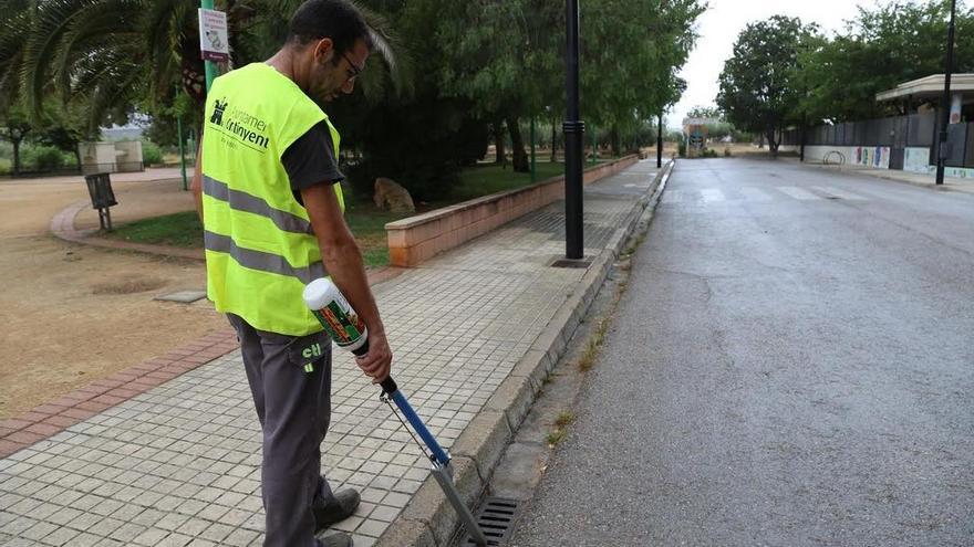 Un operario realiza tareas de control y prevención en una alcantarilla de Ontinyent