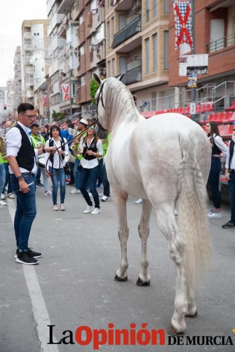 Caballos del Vino: Concurso morfológico (salida Pl