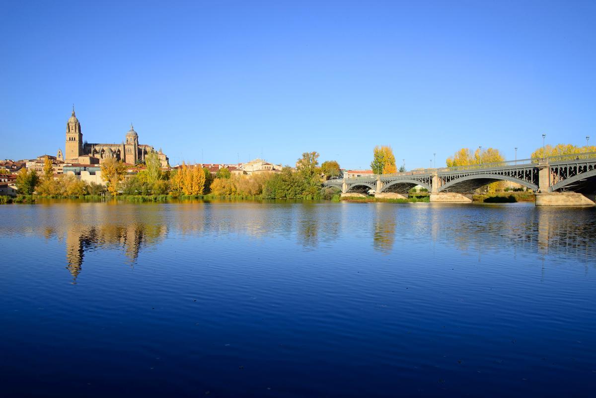Catedral de Salamanca y el puente de Enrique Estevan en primer plano