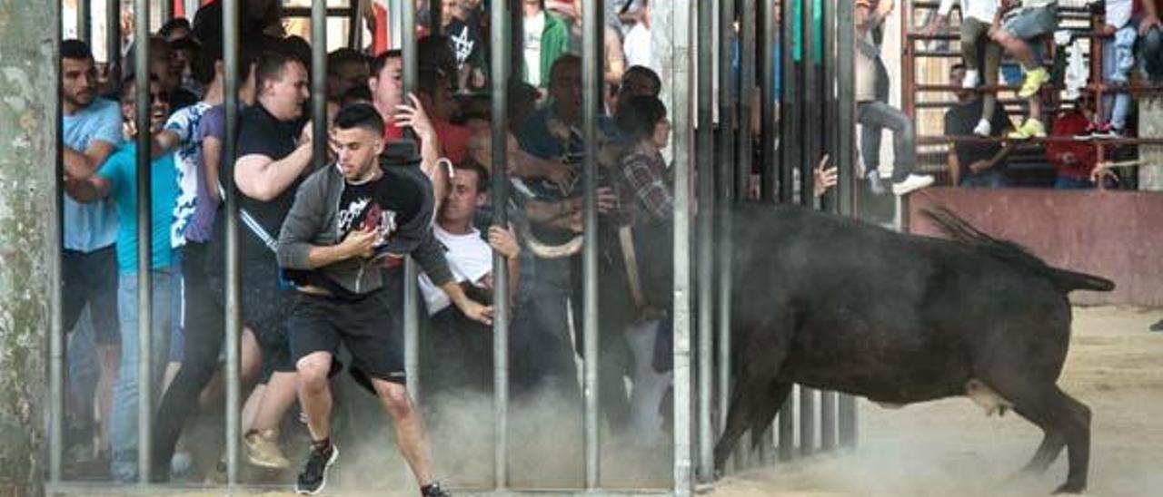 Cónclave de emboladores en Bétera