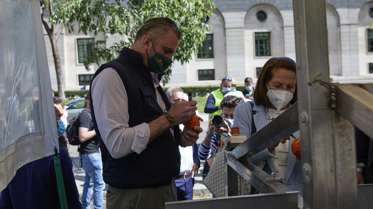 Manifestación de regantes en Madrid