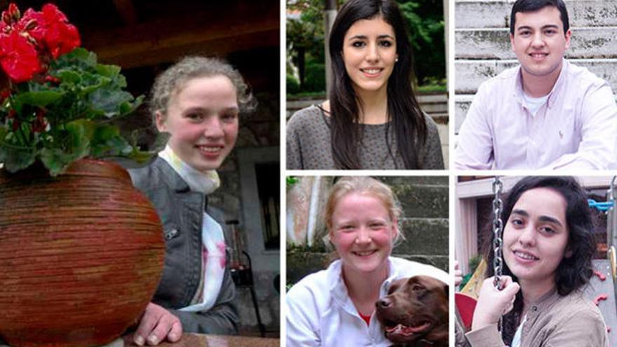 Dominio inglés en la selectividad