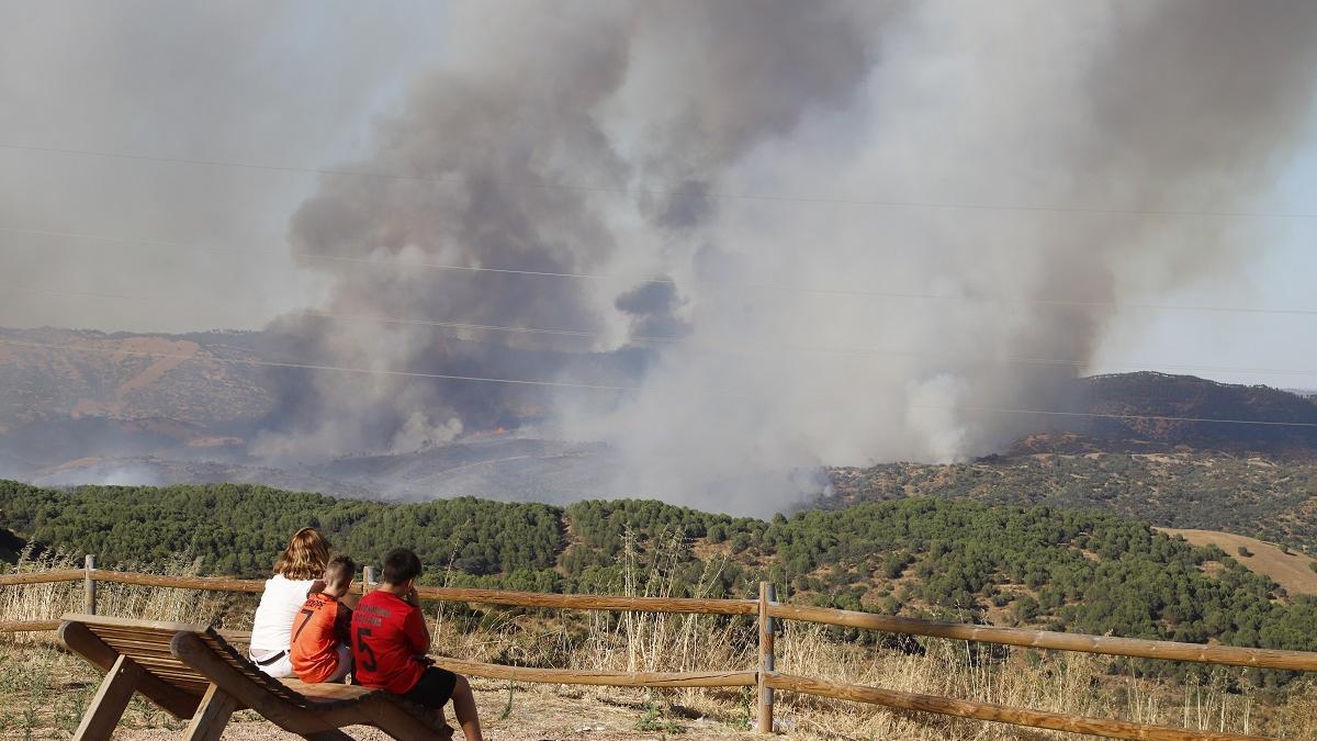 Incendio forestal en Cerro Muriano