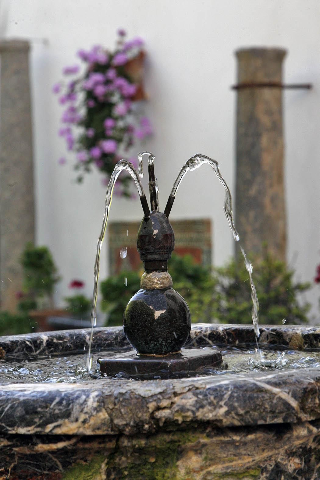 FOTOGALERÍA / Viana, un paseo con los cinco sentidos