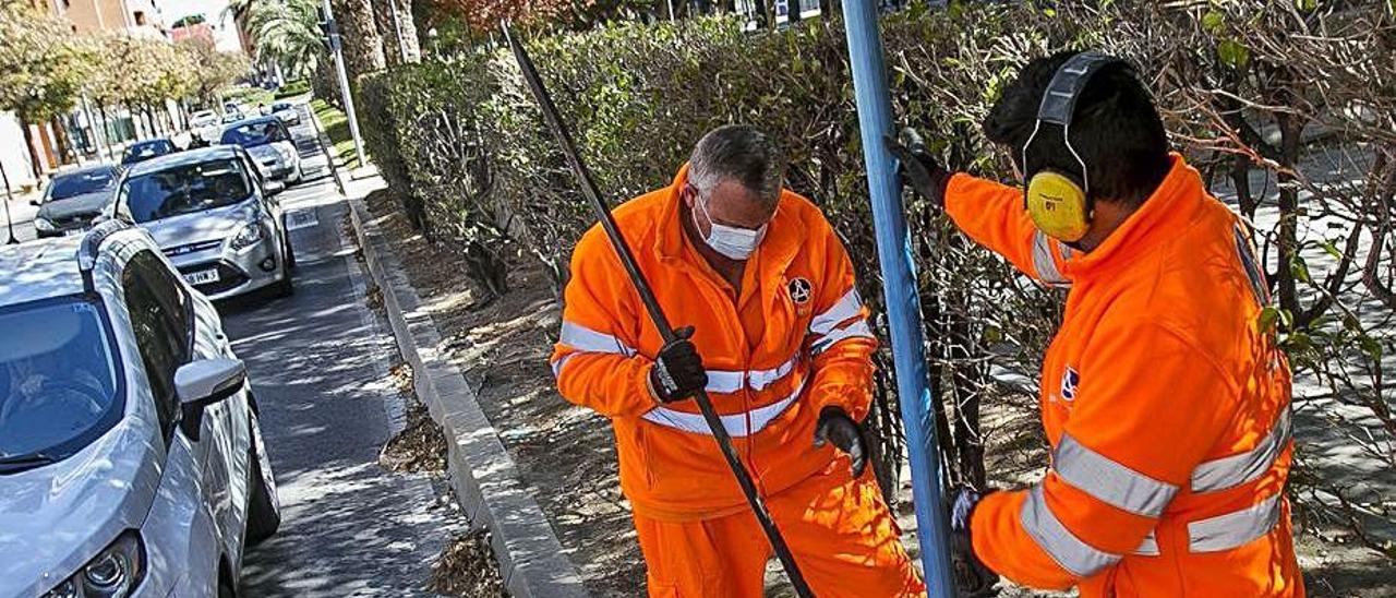 Cambio de una de las señales verticales en Alicante.