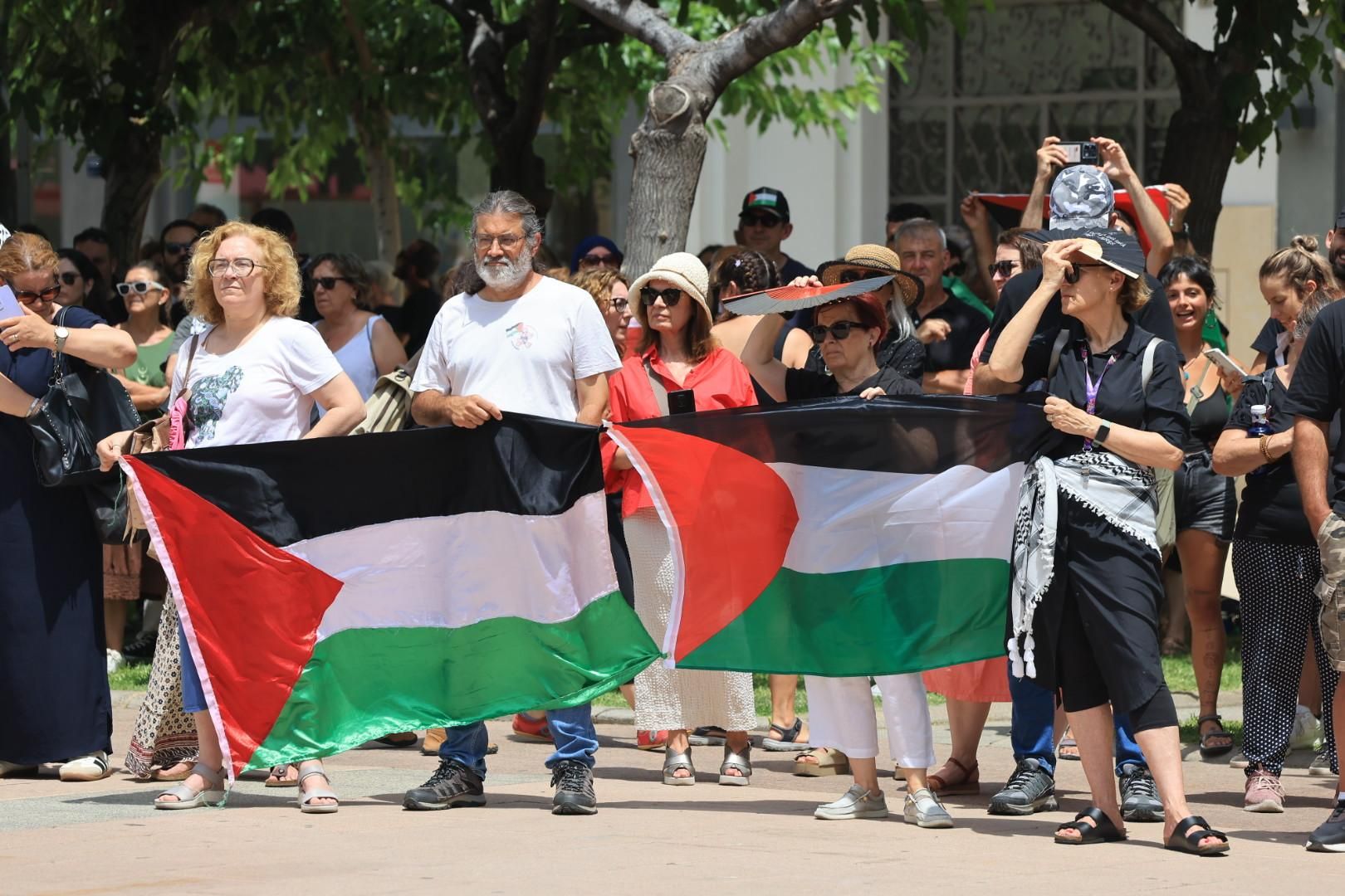 Manifestación a favor del pueblo palestino y la paz en Castellón
