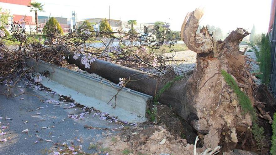 Una persona herida al desprender el viento el voladizo de una nave