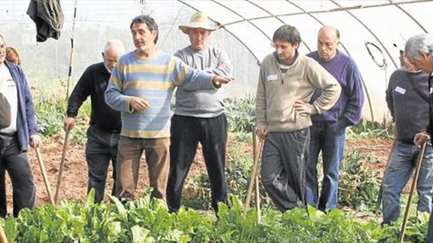 ALMASSORA ENSEÑA AGRICULTURA QUE RESPETA LA NATURA