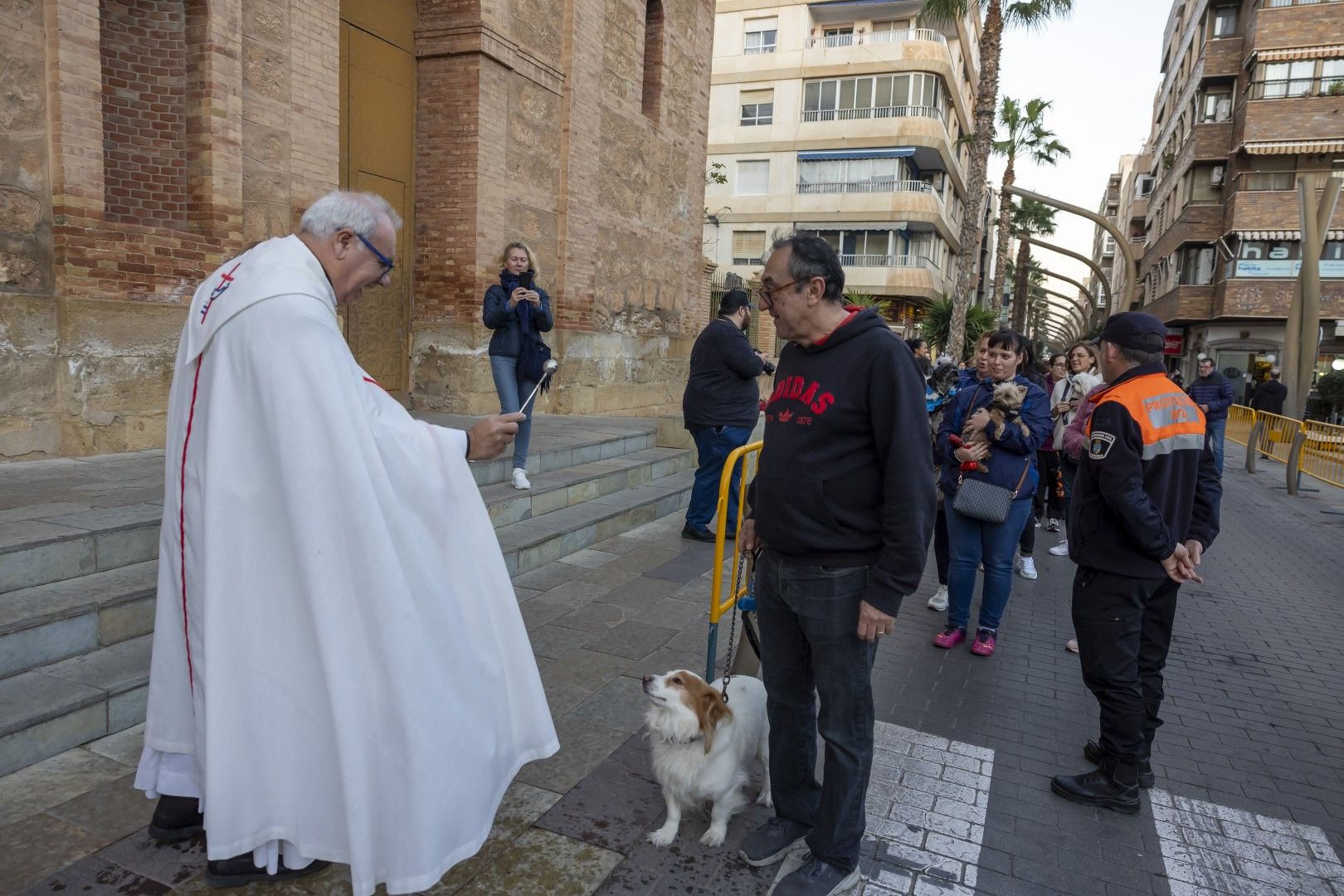 Así han recibicido la bendición perros, gatos y otra fauna doméstica el día de San Antón en Torrevieja