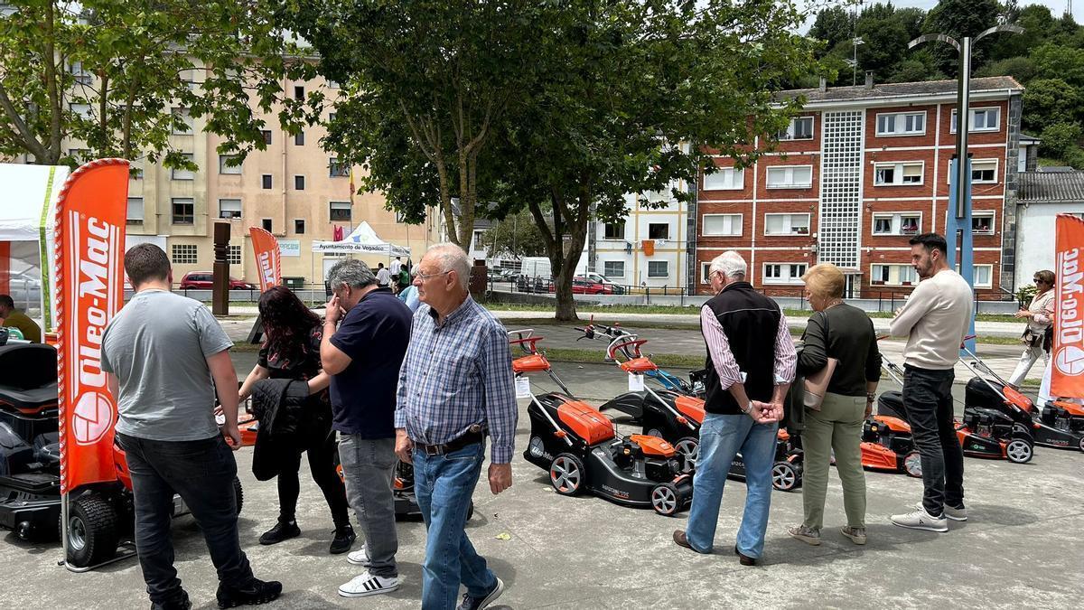 Ambiente, el pasado sábado, en el recinto ferial.