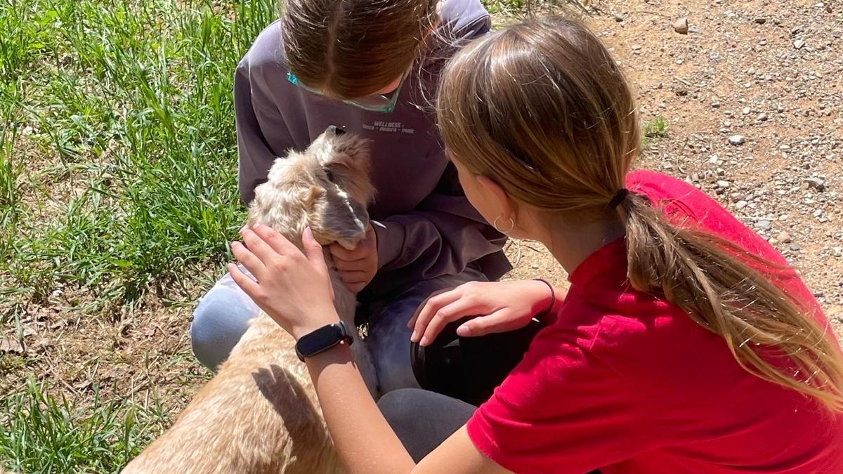 Dos niñas juegan con un perrito de la Fundación Altarriba en el Bú Bup Parc de La Bisbal.