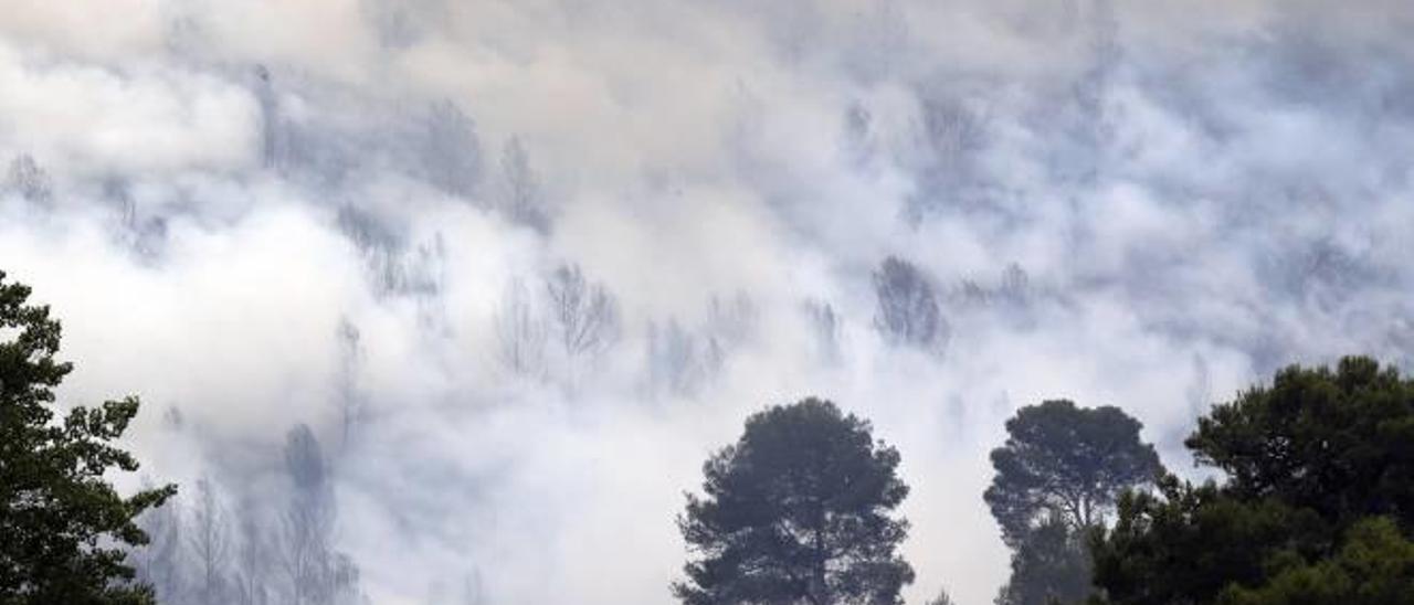 El Consell no ha aprobado ningún plan contra incendios en 7 años en la Ribera