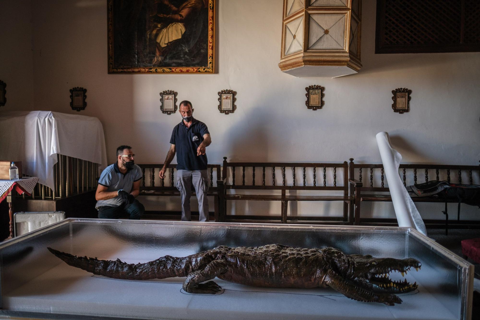 Traslado de la Virgen y el caimán de Las Angustias