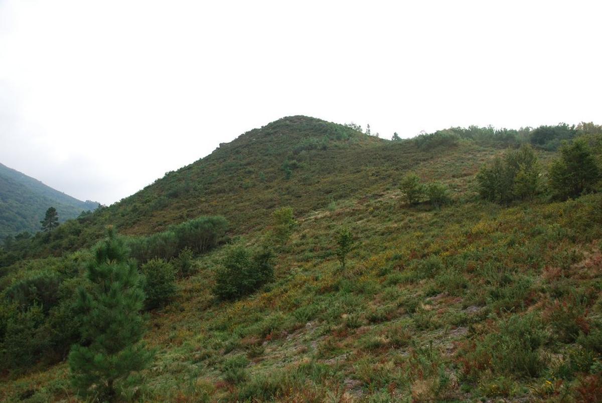 Arredor do Coto Costoa (Cerdedo) aparécese María Mighez.