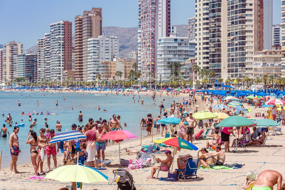 Este es el aspecto que presentan hoy las playas de Benidorm