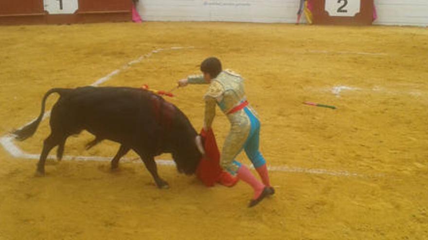 Notable novillada de Ibán en Algemesí