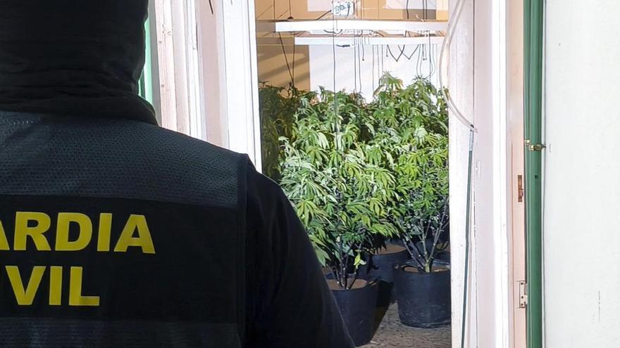 El vigilante de una plantación de marihuana abre fuego contra la Guardia Civil en Campos del Río y deja a un agente herido