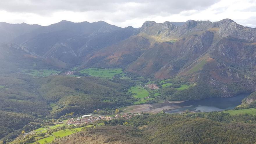 Hacer de los bosques una mina: los ayuntamientos de las Cuencas impulsan el aprovechamiento forestal como pilar económico