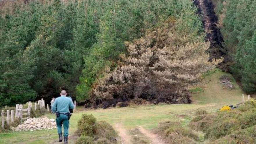 Efectivos del Seprona, ayer en la zona de Brañalibrel.