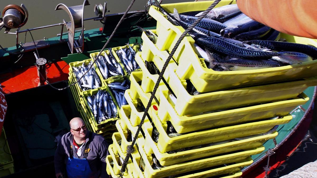 Pescadores del Cantábrico Noroeste cargan las capturas de caballa del barco a tierra.