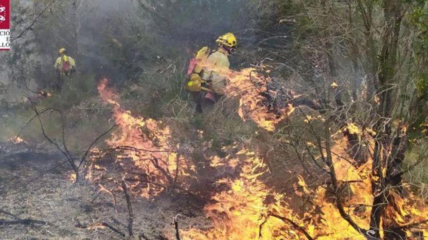 Un incendio forestal en les Useres pone en peligro una granja