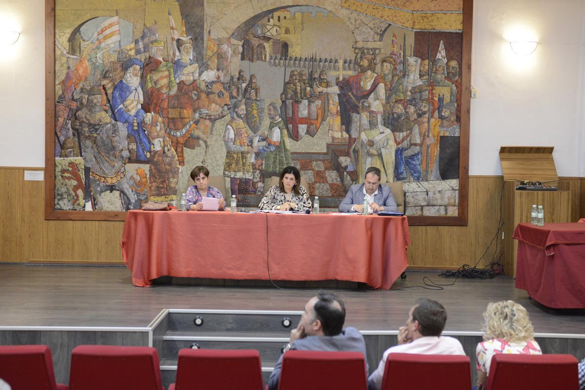 La asamblea, ordinaria, se convocó a petición de la vicepresidenta y alcaldesa de San Cristóbal de Entreviñas, Leonor González.