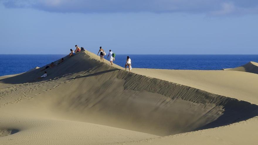 Las Dunas de Maspalomas tendrán un novedoso sistema para involucrar a la población en el seguimiento científico: así será