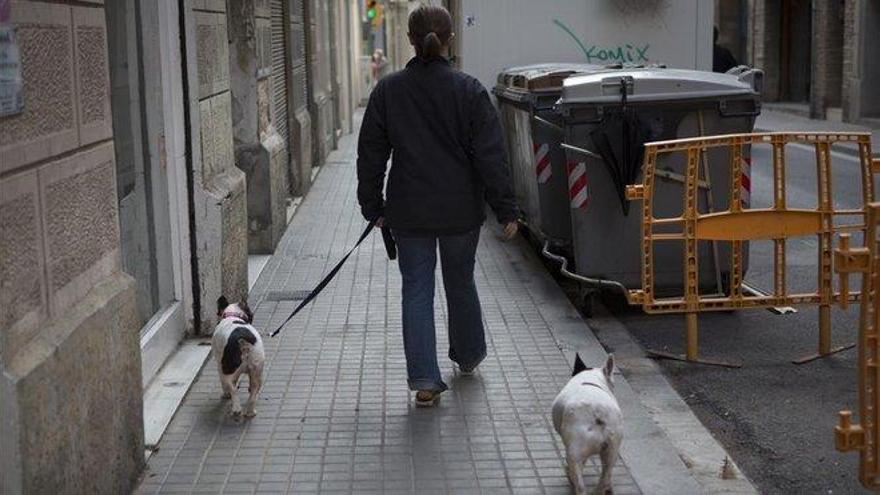 Nace un perro verde en Estados Unidos