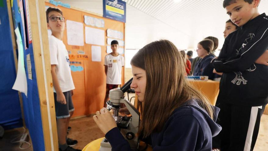 Ponteciencia llena de pequeños científicos el campus de la UVigo
