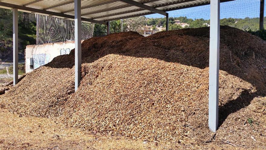 La diputación apuesta por la biomasa en terrenos del Camp de Túria y Utiel-Requena