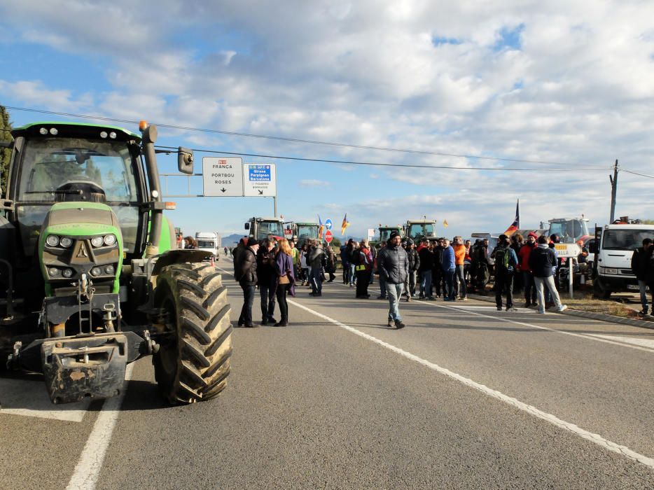 Manifestació a Borrassà