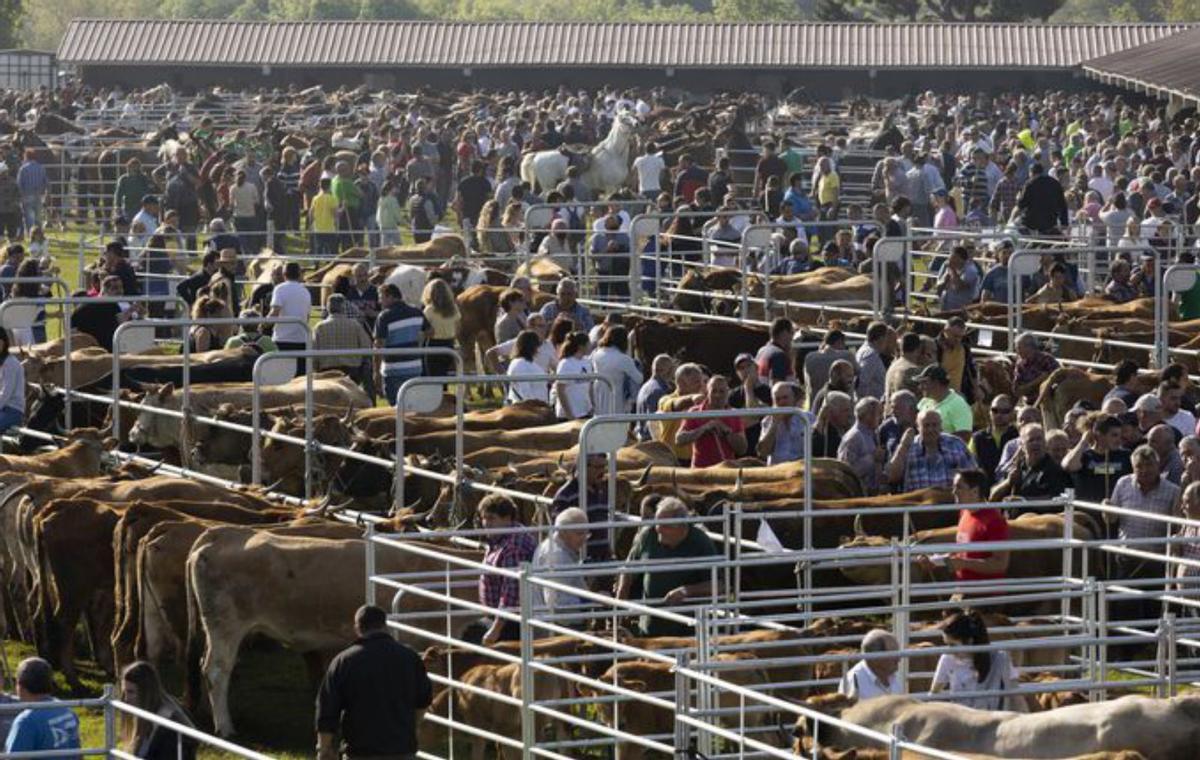 La feria de San Isidro en Llanera, una cita clave