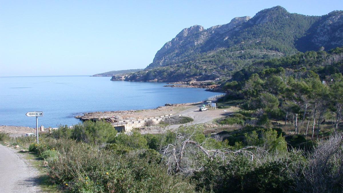 Imagen de sa Ferradura (Alcúdia), el punto de entrada del cable eléctrico que aparece en el proyecto de Red Eléctrica. / Guillem Bosch