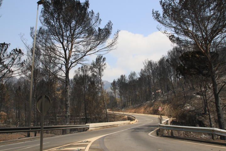 Incendio forestal entre Pinet, La drova y Marxuquera