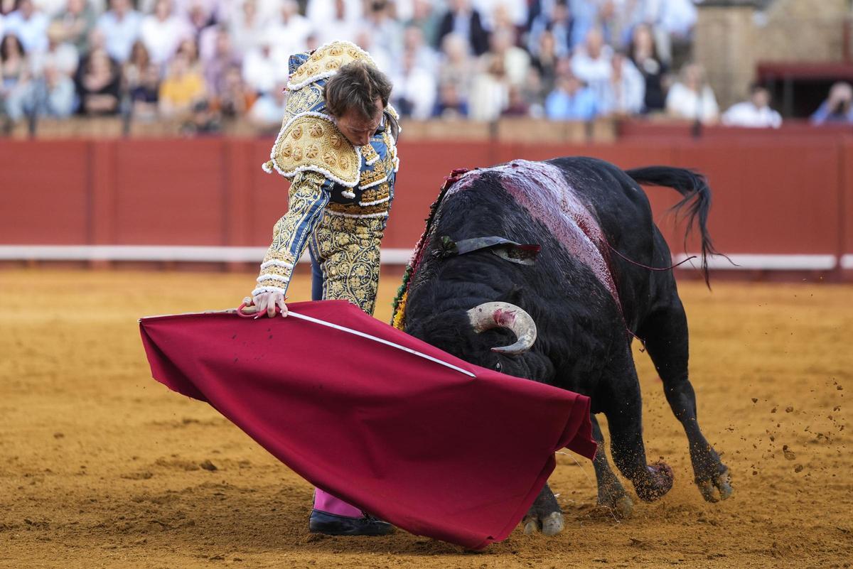 Un buen muletazo de Román Collado al toro de Fermín Bohórquez