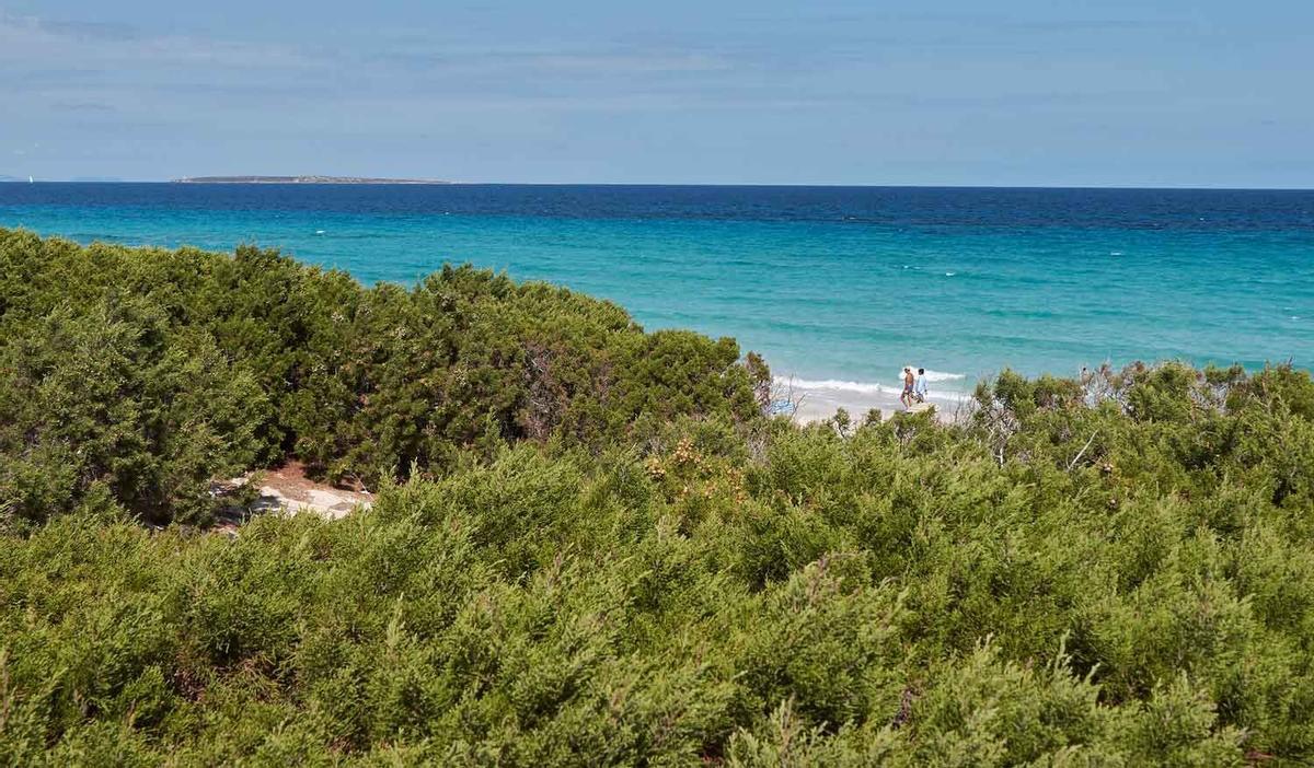Playa de Levante (Formentera)