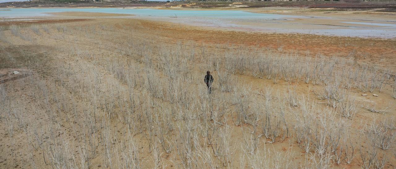 El embalse de La Pedrera (Orihuela) ha ganado 1 hm3 tras las lluvias pero está al 24% de su capacidad