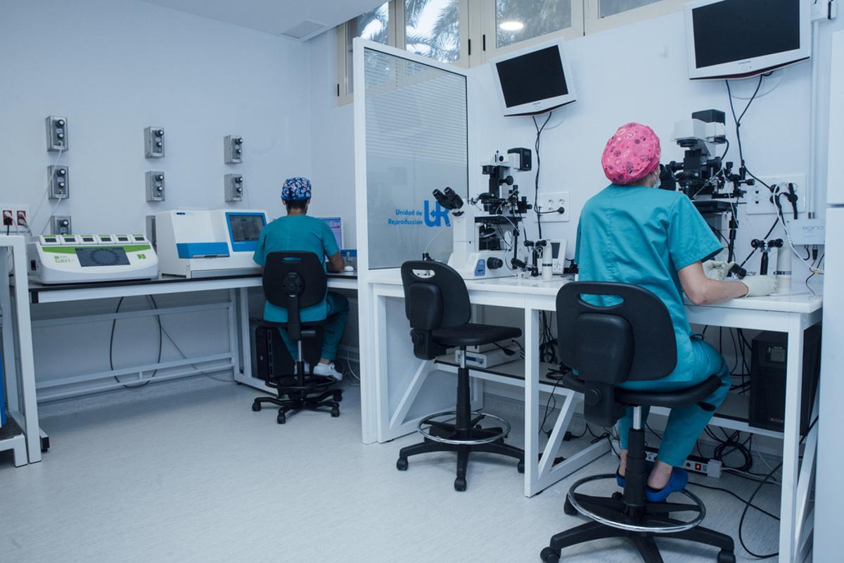 Las alternativas cromosómicas son responsables de que el 98% de los embriones no implanten.