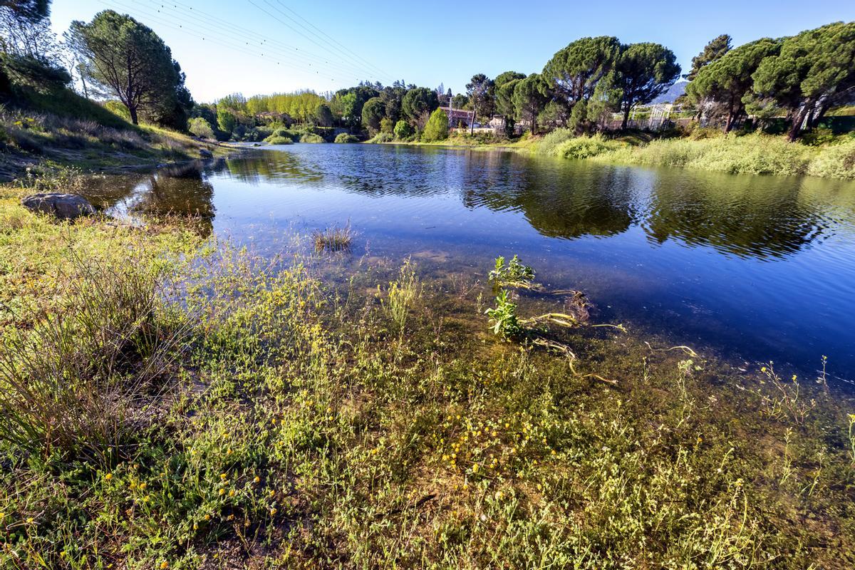 Río Alberche en Cebreros.
