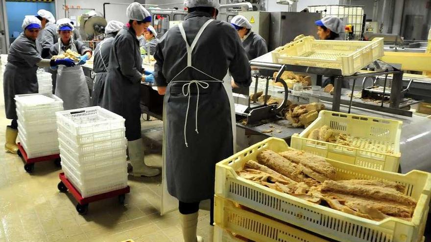 Varias trabajadoras de una empresa conservera gallega.